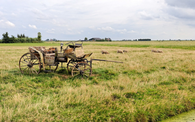 Wagon field sheep barn ecological free wallpaper for desktop - medium preview image