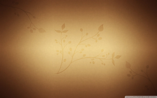 Wall plant light brown background free wallpaper for desktop - medium preview image