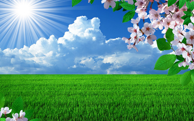 Flower field blue sky clouds #4 free wallpaper for desktop - medium preview image