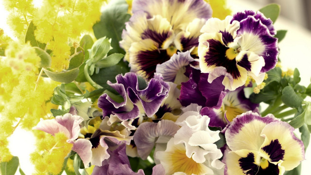 Bouquet purple yellow green sunflower free wallpaper for desktop - medium preview image