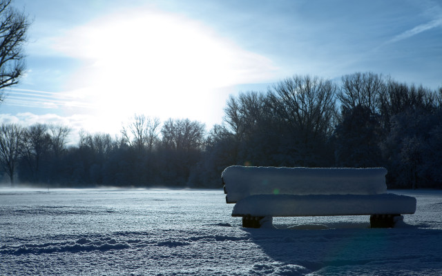Snowy park bench trees sun free wallpaper for desktop - medium preview image