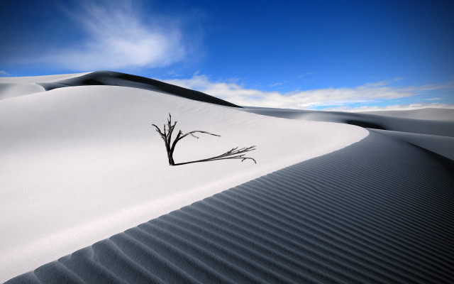 Lone tree desert landscape blue free wallpaper for desktop - medium preview image
