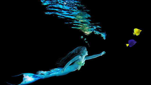 Woman bluebikini underwater fish mermaid free wallpaper for desktop - medium preview image