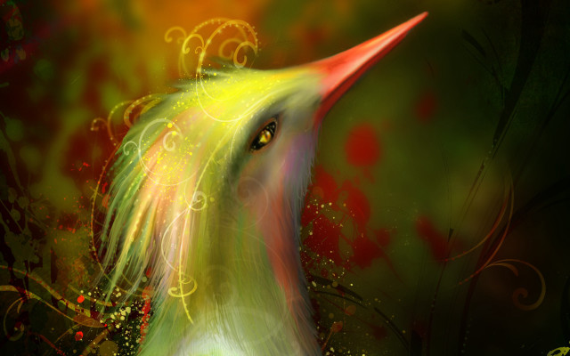 Bird red yellow green christmas free wallpaper for desktop - medium preview image