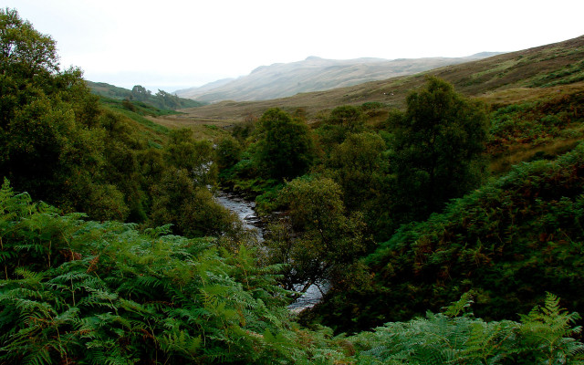 River forest mountains cloudy panorama free wallpaper for desktop - medium preview image