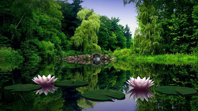 Pond water lilies bridge nature free wallpaper for desktop - medium preview image