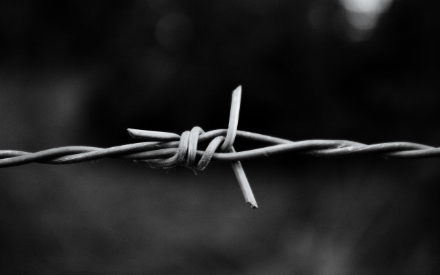 Barbed wire closeup blurry background free wallpaper for desktop - medium preview image