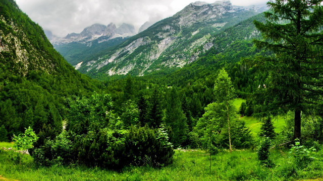 Lush green forest mountains cloudy #2 free wallpaper for desktop - medium preview image