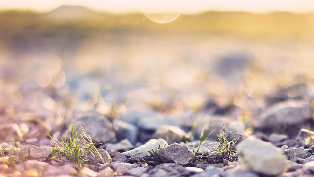 Rocks grass sunny tiltshift shallowdepth free wallpaper for desktop - medium preview image