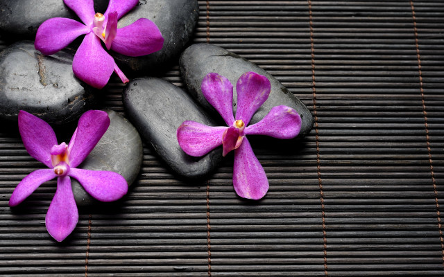 Rocks flowers mat bamboo butterfly free wallpaper for desktop - medium preview image