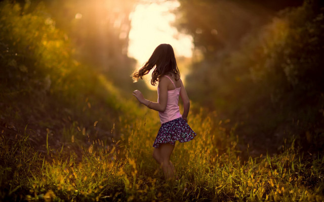 Girl autumn field sunset braid free wallpaper for desktop - medium preview image