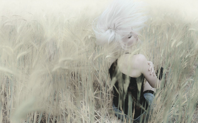 White hair woman tall grass free wallpaper for desktop - medium preview image