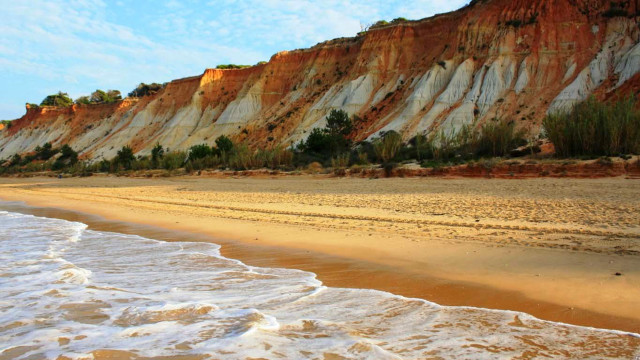Sandy beach waves cliff trees free wallpaper for desktop - medium preview image