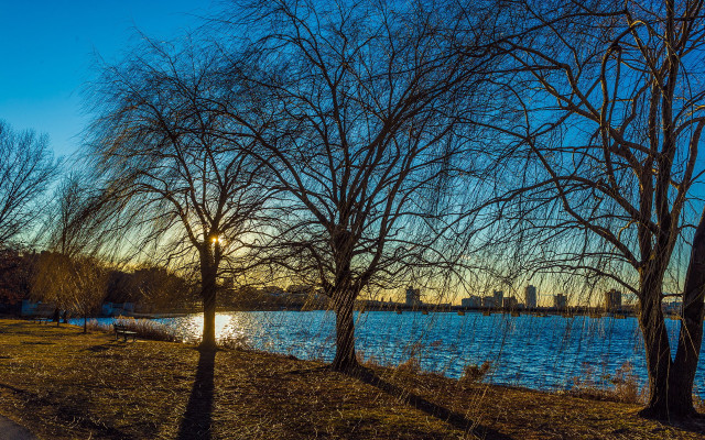Lake trees bench city sunset free wallpaper for desktop - medium preview image