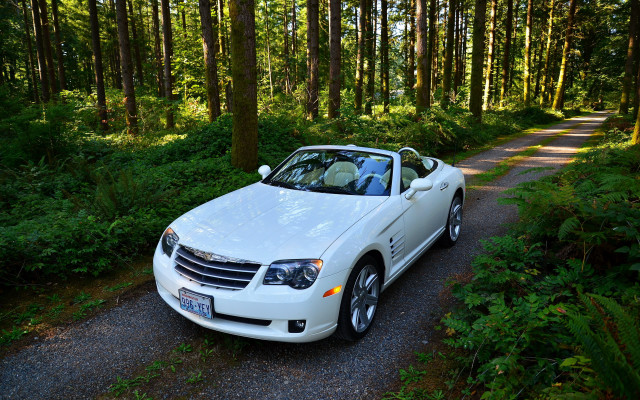 White car forest road bush free wallpaper for desktop - medium preview image
