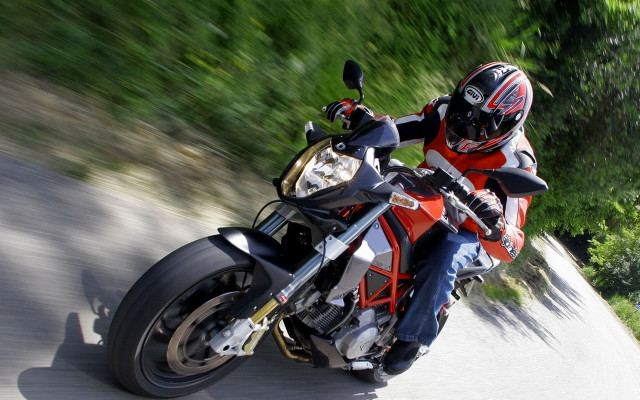 Man motorcycle forest sunny gear free wallpaper for desktop - medium preview image