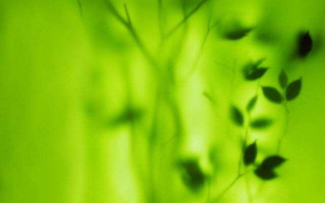 Blurry plant leaves bokeh green free wallpaper for desktop - medium preview image