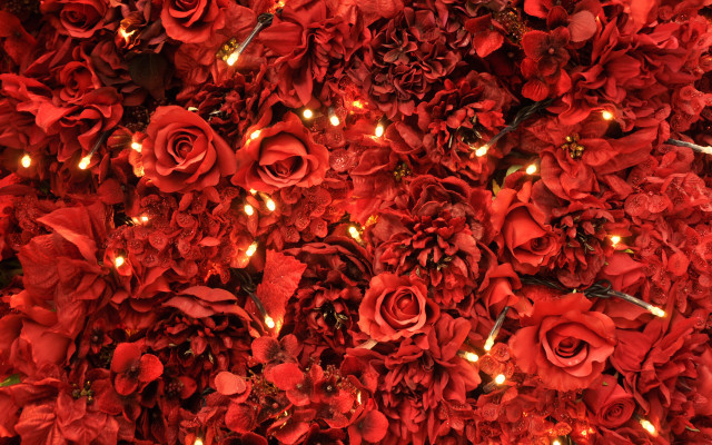 Red flowers candles roses black free wallpaper for desktop - medium preview image