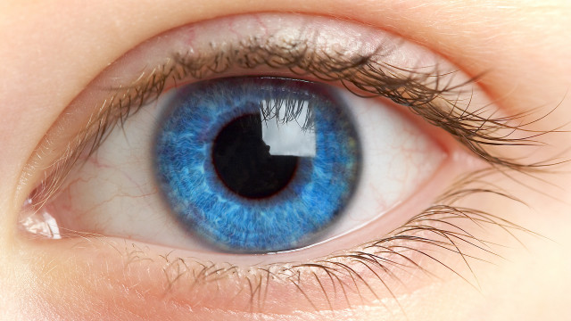 Blue eye black center macro free wallpaper for desktop - medium preview image