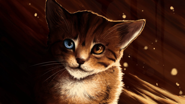 Blue eyed cat sitting brown free wallpaper for desktop - medium preview image
