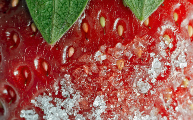 Strawberry leaves sugar macro hyperrealism free wallpaper for desktop - medium preview image