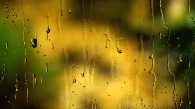 Rainy window blurry tree impressionism free wallpaper for desktop - medium preview image