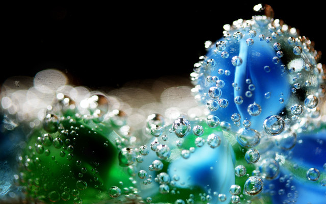 Blue flower water droplets macro #4 free wallpaper for desktop - medium preview image