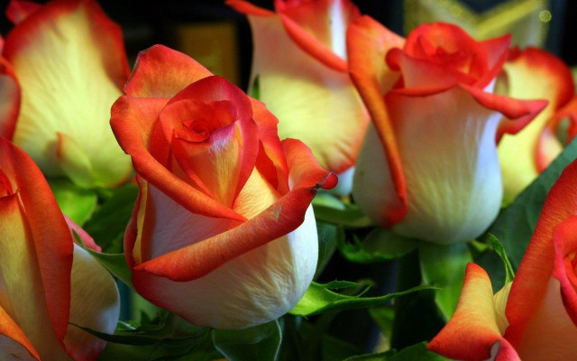 Orange white roses vase green free wallpaper for desktop - medium preview image