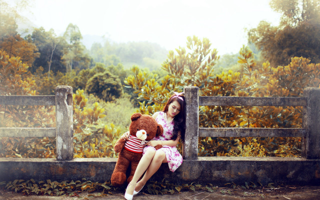 Woman bench teddy forest autumn free wallpaper for desktop - medium preview image