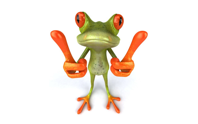 Red eye frog orange fingers free wallpaper for desktop - medium preview image