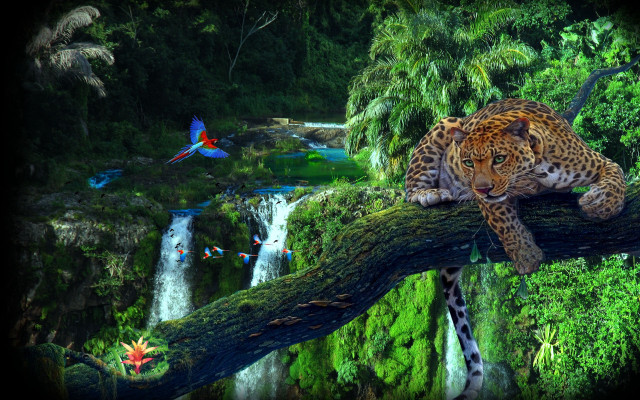 Leopard tree branch jungle waterfall free wallpaper for desktop - medium preview image