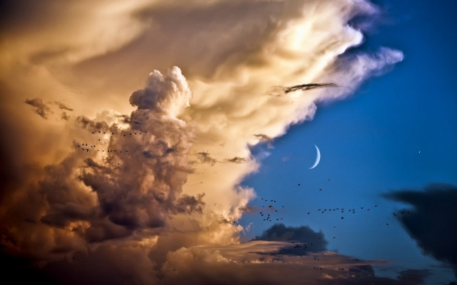 Large cloud crescent moon matte free wallpaper for desktop - medium preview image