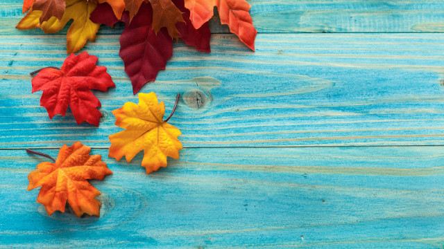 Autumn leaves lightbulb blue wooden free wallpaper for desktop - medium preview image