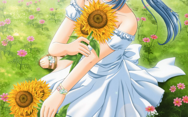Girl sunflower field white dress #3 free wallpaper for desktop - medium preview image
