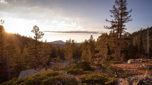 Forest mountain sunset lake nature free wallpaper for desktop - medium preview image