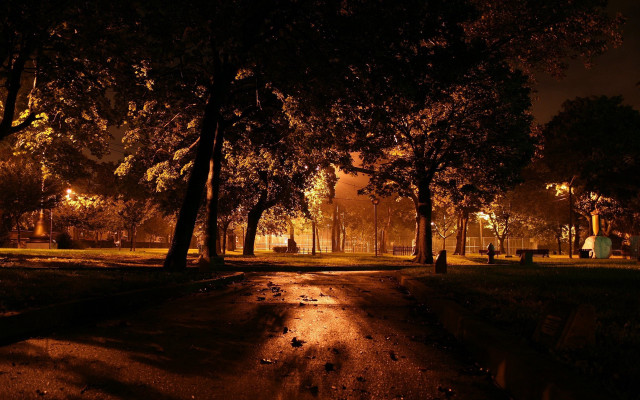 Park night path bench trees free wallpaper for desktop - medium preview image