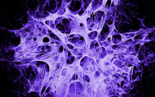 Purple flower holes neoplasticism microscopic free wallpaper for desktop - medium preview image