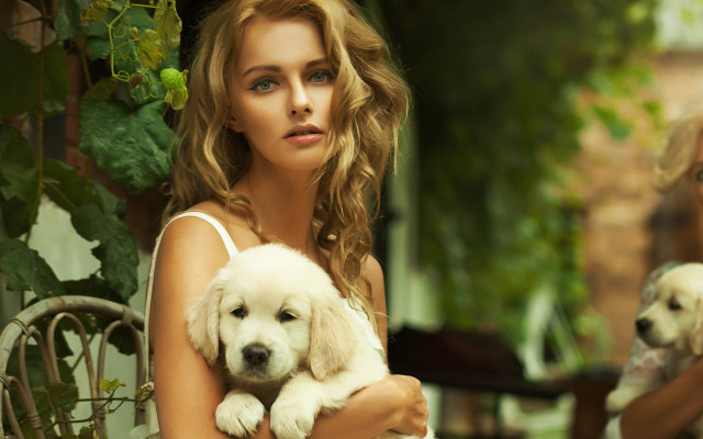 Woman puppy outside blurry animals free wallpaper for desktop - medium preview image
