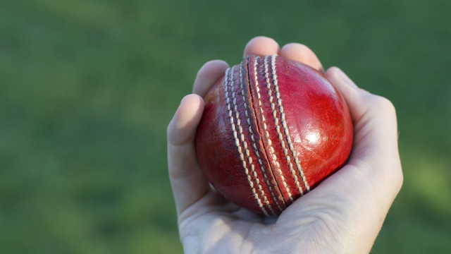 Person holding red ball green free wallpaper for desktop - medium preview image