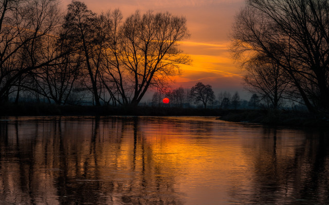 Sunset water trees red ball free wallpaper for desktop - medium preview image