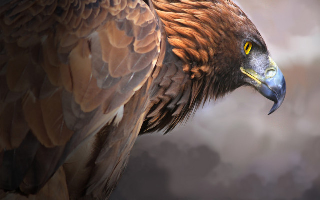 Fantasy bird glowing eyes cloudy free wallpaper for desktop - medium preview image