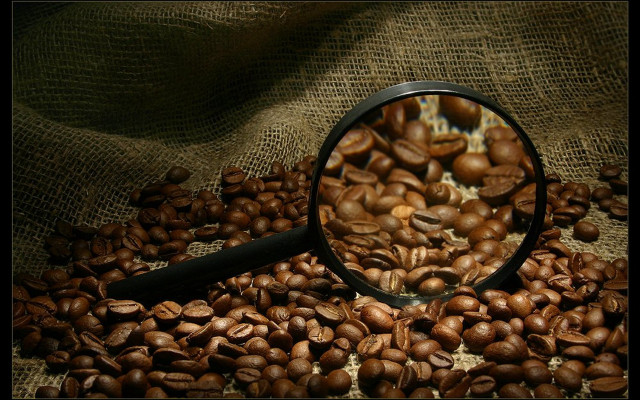 Magnifyingglass coffeebeans burlap sack stilllife free wallpaper for desktop - medium preview image