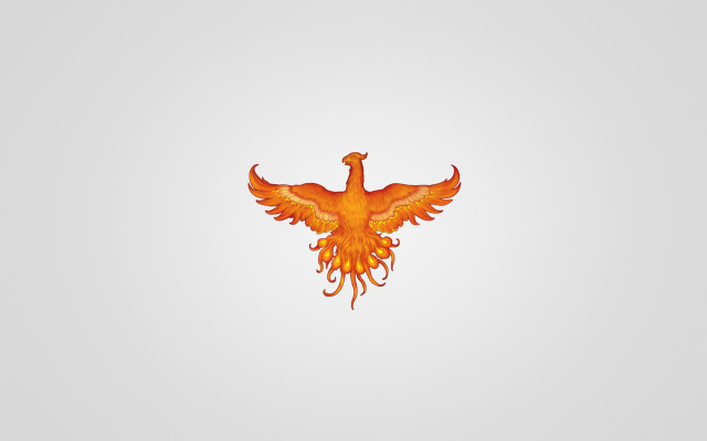 Bird orange wings flying gradient free wallpaper for desktop - medium preview image