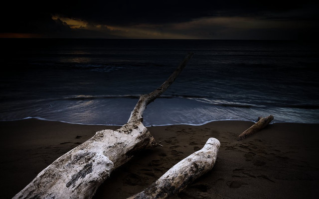 Fallen tree beach dark sky free wallpaper for desktop - medium preview image
