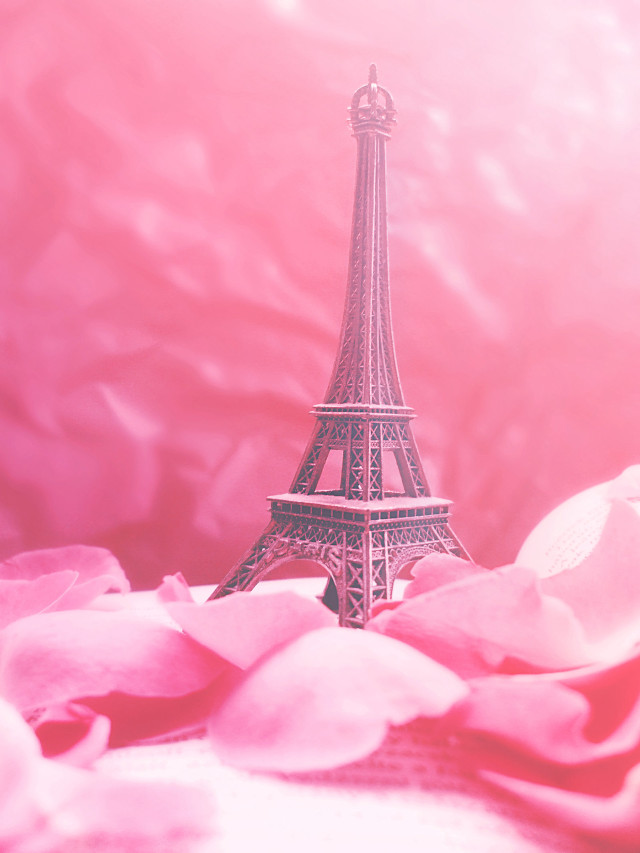 Pink eiffel tower paris cherry free wallpaper for mobile - medium preview image