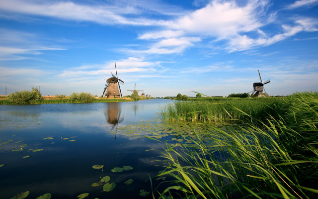 Windmills lake greenfield waterlilies sky free wallpaper for desktop - medium preview image