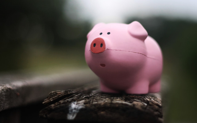 Pink pig wooden fence post free wallpaper for desktop - medium preview image