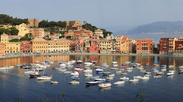 Harbor boats city hills trees free wallpaper for desktop - medium preview image