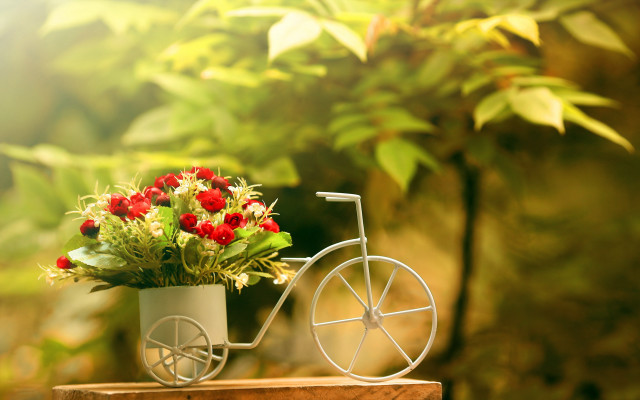 Flower pot bike garden bokeh free wallpaper for desktop - medium preview image
