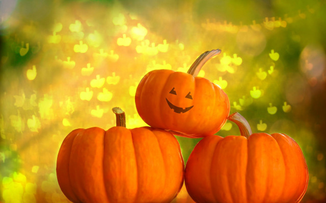 Pumpkins carved faces 3D render free wallpaper for desktop - medium preview image